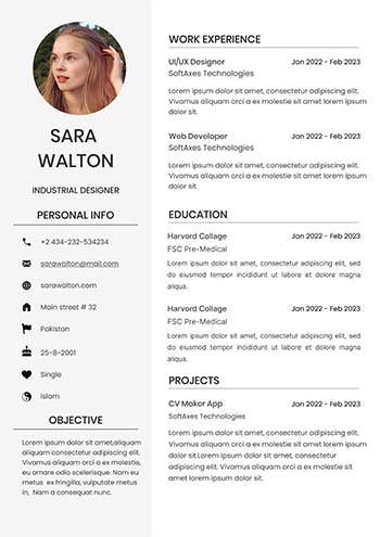 Professional Cv 1.1