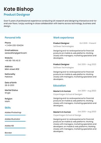 Professional Cv 4.1