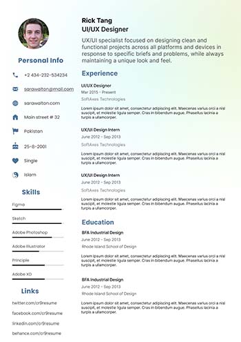 Professional Cv 6.1