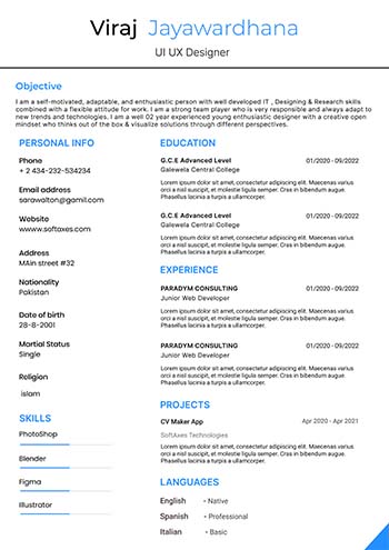 Professional Cv 8.1