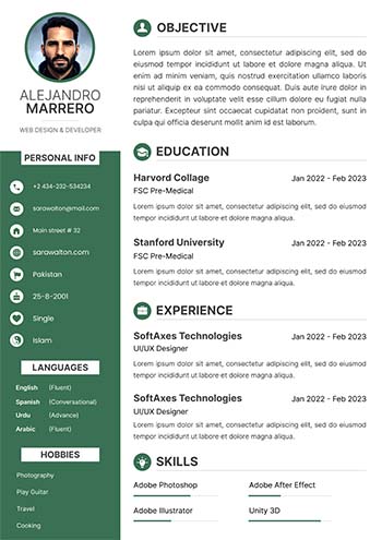 Professional Cv 11.1