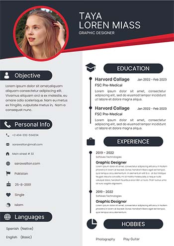 Professional Cv 12.1