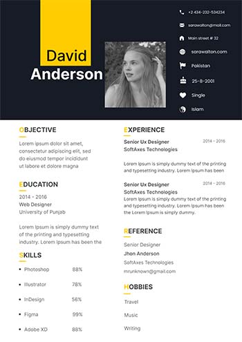Professional Cv 13.1