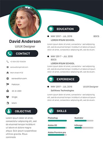 Professional Cv 14.1